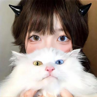 波哥大